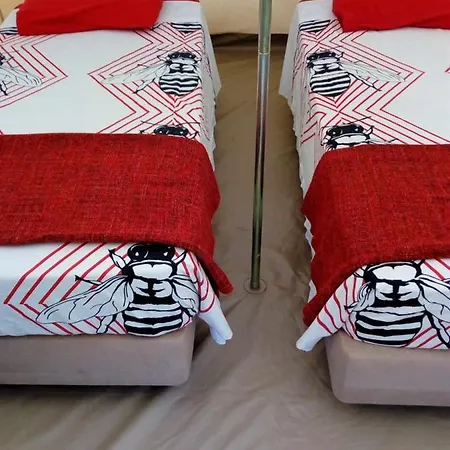 Parque Da Mina Monchique