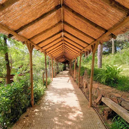 Parque Da Mina *