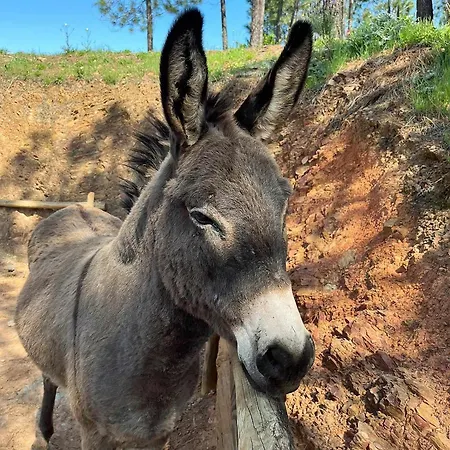 Parque Da Mina * Monchique
